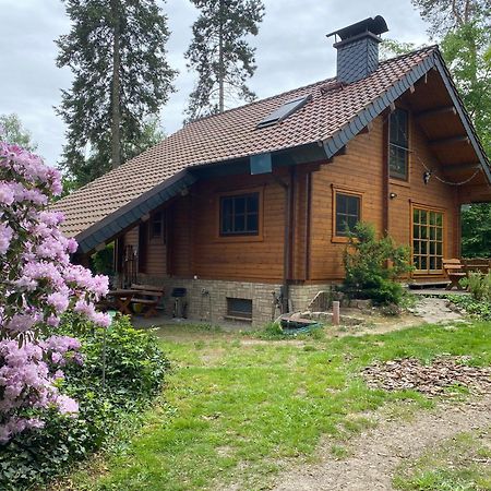 Waldhaus Eichhoernchen Bad Schmiedeberg Buitenkant foto
