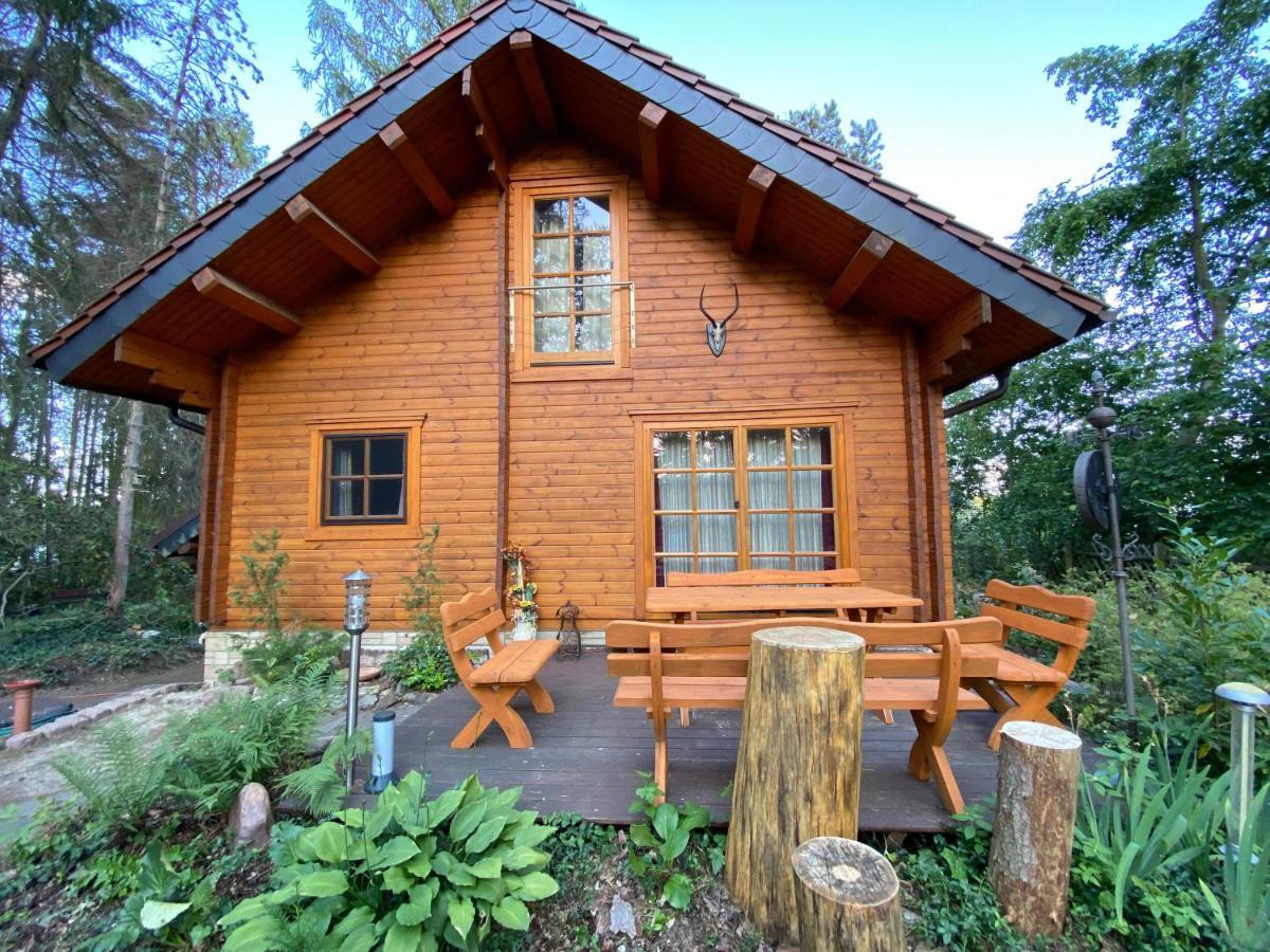 Waldhaus Eichhoernchen Bad Schmiedeberg Buitenkant foto