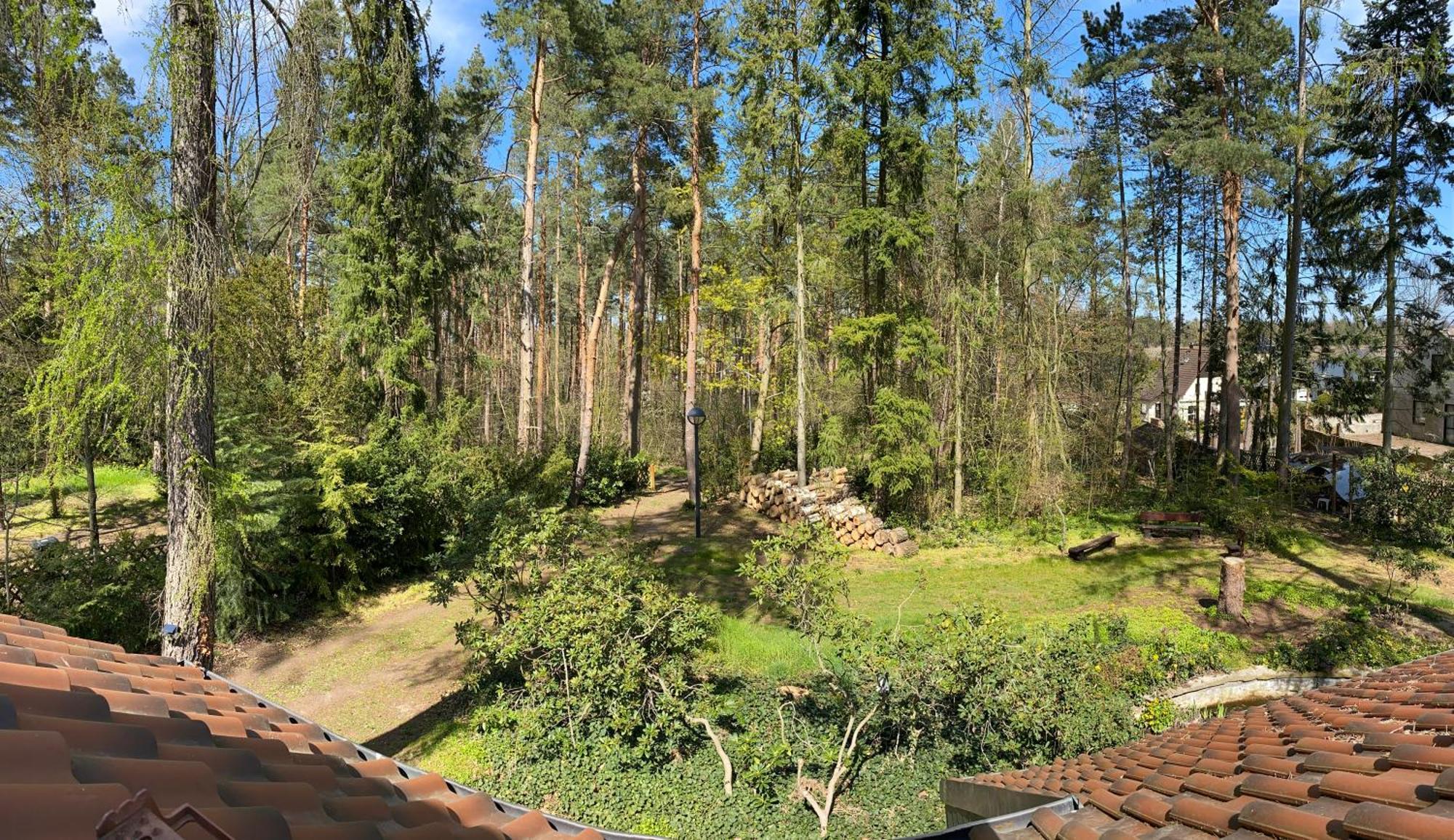 Waldhaus Eichhoernchen Bad Schmiedeberg Buitenkant foto