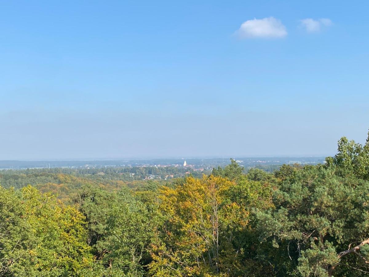 Waldhaus Eichhoernchen Bad Schmiedeberg Buitenkant foto