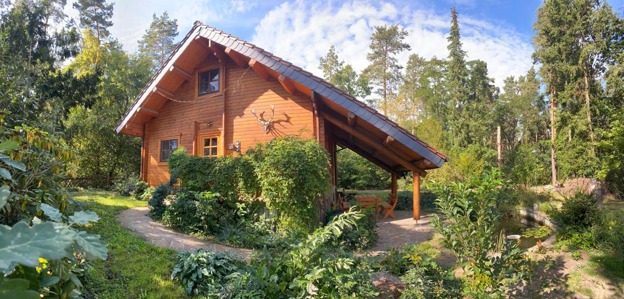Waldhaus Eichhoernchen Bad Schmiedeberg Buitenkant foto