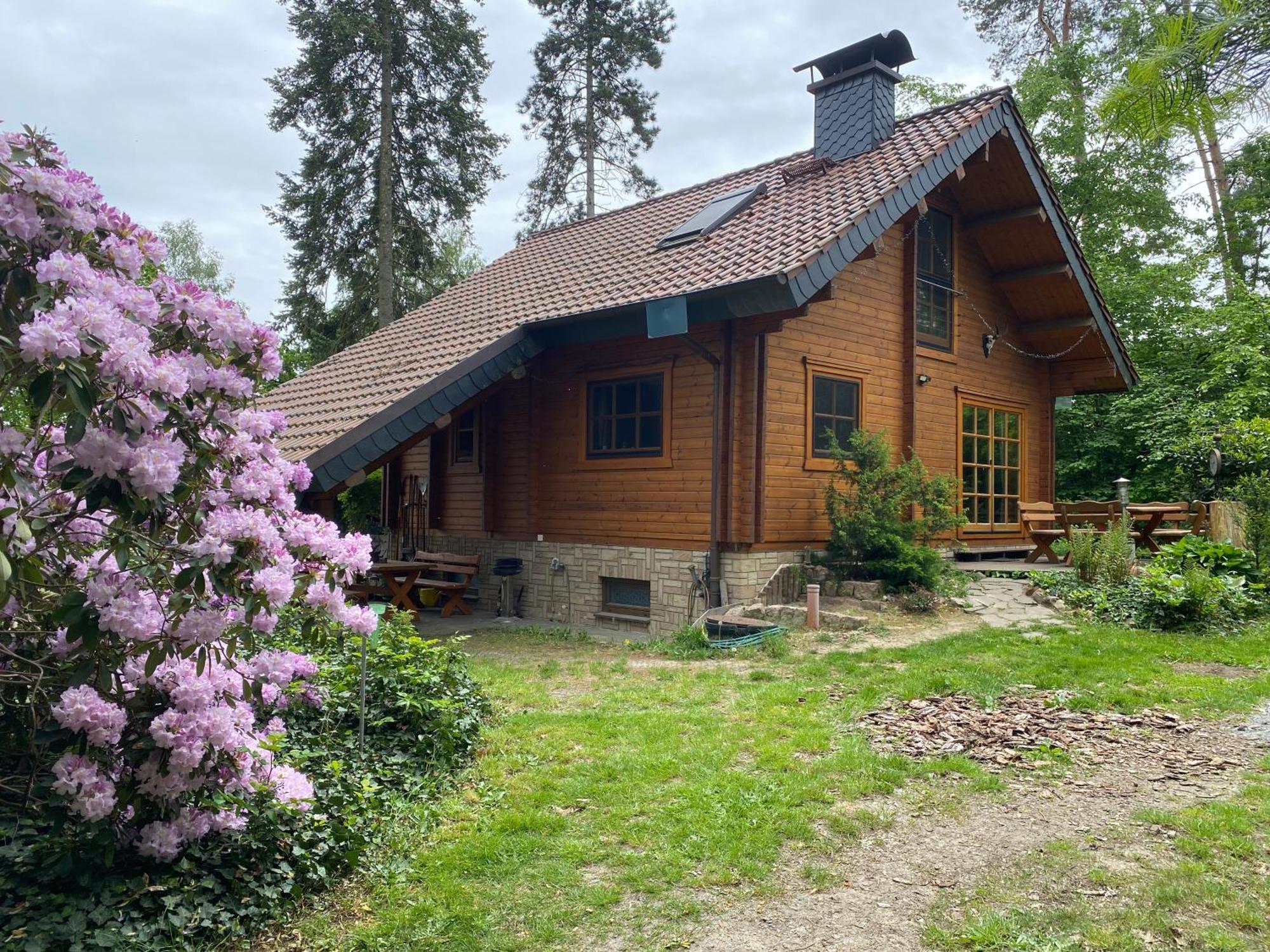 Waldhaus Eichhoernchen Bad Schmiedeberg Buitenkant foto